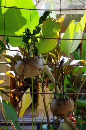Pondok Mangga Mataram Extérieur photo